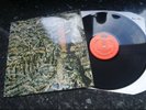 SIOUXSIE AND THE BANSHEES - SCARCE IRISH PRESS LP - JUJU - 1981 - Polydor
