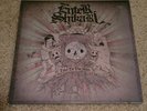 ENTER SHIKARI- Take to the Skies 2 LP on Pink Splatter VINYL
