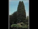 JOHN FOXX - THE GARDEN - Vinyl Record VL.. - e3447e