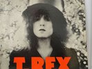 T. Rex - The Slider - Japan Vinyl Insert - EOS-40052