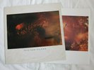 Cocteau Twins - Victorialand (UK 4AD Vinyl)