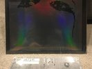 Deftones - Ohms LP - Clear Vinyl w/Zine - NEW & SEALED - Web Store Exclusive
