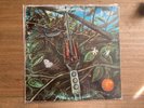 Dragonfly “Dragonfly” S/T LP MS 102 Rare Psych Original Megaphone 1968 VG/VG+