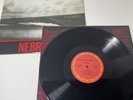 Bruce Springsteen Nebraska LP w/ lyric original '82 vinyl rare GORGEOUS