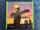 Sonic Youth Bad Moon Rising Vinyl 1985 Excellent Condition First Edition UK & US