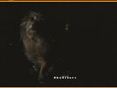Lambchop Showtunes Limited Edition Orange Vinyl LP