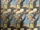 Lana Del Rey - Norman Fucking Rockwell  (2-LP) LTD ED Lime Green Vinyl NFR  NEW