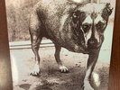 ALICE IN CHAINS - Self Titled - Three Legged Dog NEW - White Vinyl (tripod)