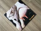 Aerosmith - Get A Grip Double Vinyl Brazil Press Very Rare 1993