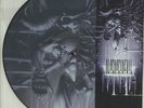 DANZIG - Danzig 5: Blackacidevil - Vinyl (limited picture disc LP + insert)