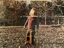 The Allman Brothers - Brothers And Sisters - Vinyl Record.. - G28G