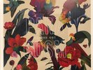 Washed Out - Paracosm (LP, Album, Mar)