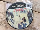 Alice in Chains Down in A Hole 7” picture disc