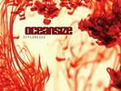Oceansize-Effloresce (Yellow W/ Red Swirl) 2LP Vinyl