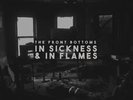 The Front Bottoms - In Sickness & In Flames [Red Vinyl] NEW Sealed LP Album