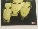 Wild Swans - Bringing Home The Ashes - Used Promo LP - US 1988 Sire - NM Vinyl