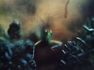 Steely Dan - Katy Lied (LP, Album, Bla)