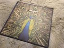 The Bluetones, Expecting To Fly, Vynal Album - 1996 press.