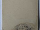 The Beatles White Album A3111113 Vinyl Album