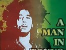Bob Marley Live In Tokyo