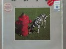Rush / Signals (LP Used) Mercury SRM-1-4063 *Hauppauge Press / 53
