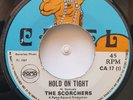 45 REGGAE / THE SCORCHERS / HOLD ON TIGHT / CAMEL / LISTEN