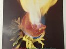 Adorable Against Perfection 1993 First Pressing Creation Records Vinyl CRELP 138