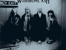 WISHBONE ASH - PORTSMOUTH 1980 - Vinyl Record VINYL.. - G14361G