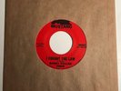 Bobby Fuller Four / I Fought The Law / 1965 Mustang 45rpm / NM