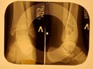 Elvis Presley - I Beg Of You X-RAY OF THE USSR X-RAY BONES RECORDS