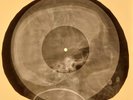 Doors - Back Door Man X-RAY OF USSR X-RAY BONES RECORD SKULL