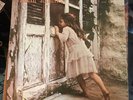 The Violent Femmes - Violent Femmes ‎Self titled vinyl