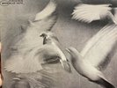 Donald Byrd ‎– Free Form, Blue Note ‎BST 84118 NM- DMM 1985 Press Stereo
