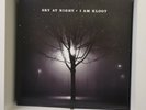 I Am Kloot ‎– Sky At Night Vinyl - Pre loved black Vinyl