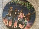 SLOPPY SECONDS Destroyed Record Vinyl Picture Disc Punk Rare