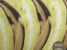 The Charlatans - Between 10th and 11th. NEW & SEALED