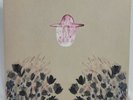DEVENDRA BANHART   SMOKEY ROLLS DOWN THUNDER CANYON   VINYL Double LP