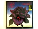 THIN LIZZY BLACK ROSE LP 2014 REPRESS IMPORT 180 GRAM VINYL PHIL LYNOTT