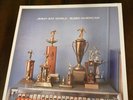 Bleed American by Jimmy Eat World (Record, 2016)