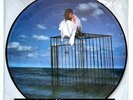 MYLENE FARMER - Innamoramento (2xLP 33T Picture Disc) Limited Edition NEUF