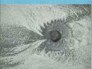 Four Tet 2-LP vinyl record (Double Album) New Energy UK