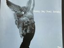 Sunny Day Real Estate - The Rising Tide Vinyl LP (Near Mint) 2017 Clear