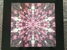 BLACKPINK The Album Vinyl Box Set Import 2020 NEU