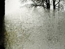 Bon Iver - For Emma, Forever Ago LP vinyl record Justin Vernon Jagjaguwar