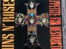 Guns and Roses Appetite for Destruction Vinyl 1987