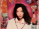 Bjork Post LP New