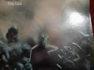 steely dan katy lied 1975 vinyl Lp