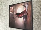 Ozzy Osbourne - Blizzard Of Ozz 12” Black Vinyl LP Lyric Inner VG+ 1980 Epic