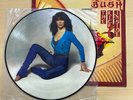 Kate Bush - The Kick Inside - Picture Disc 12