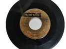 FITZ VAUGHN BRYAN - MI BESO / MANGOES [ COOK ]  [ FEB026 ]